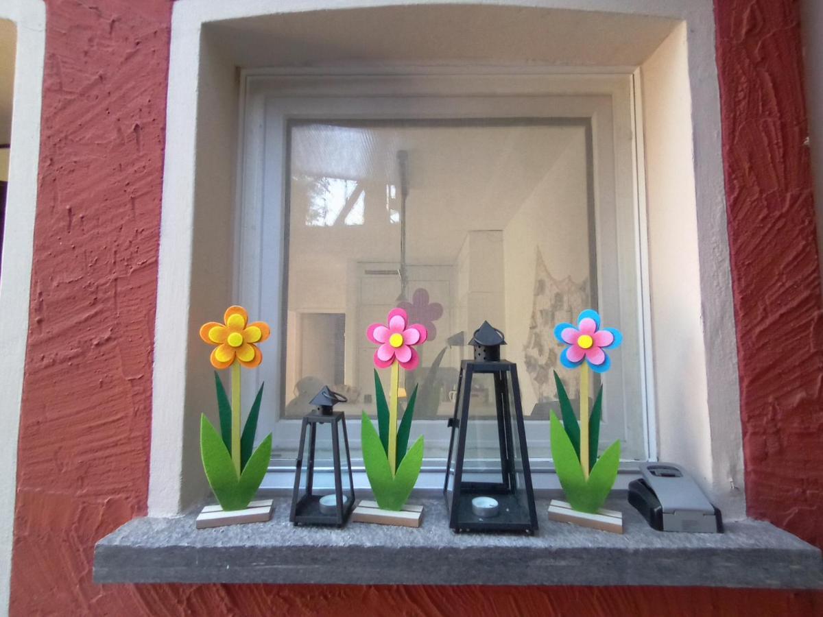 Liebesnest Am Maggiafluss Apartment Solduno Bagian luar foto